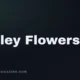 Ashley Flowers — Parasocial Magazine